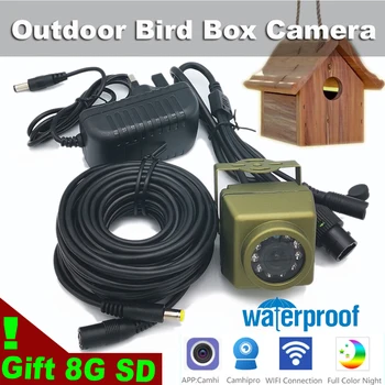 5-мегапиксельная уличная камера для птиц Wifi Security Nest Беспроводной мини-комплект видеонаблюдения Костюм аудио Водонепроницаемый ИК ночного видения Домашнее животное FTP RTSP