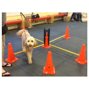 Оборудование для тренировки Аджилити домашних животных, кол для тренировки Аджилити при прыжках с собакой, послеоперационная реабилитация поясницы с препятствиями