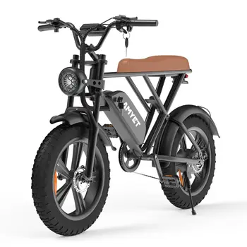 20-дюймовый Электрический велосипед Мощностью 1000 Вт с бесщеточным двигателем e-Bike 48V20Ah, литиевая батарея, рама из высокоуглеродистой стали