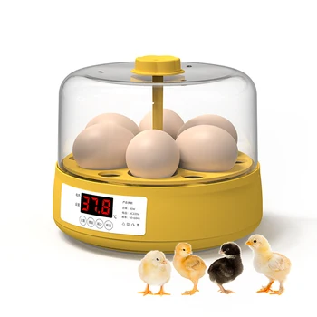 Бытовой Автоматический Мини-инкубатор для яиц Емкостью 6 куриных яиц Для продажи