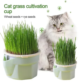 Гидропонная Пластиковая коробка для посадки мяты для кошек, контрастный Гидропонный горшок для кошек, миска для растений из кошачьей травы без семян, Садовый инвентарь